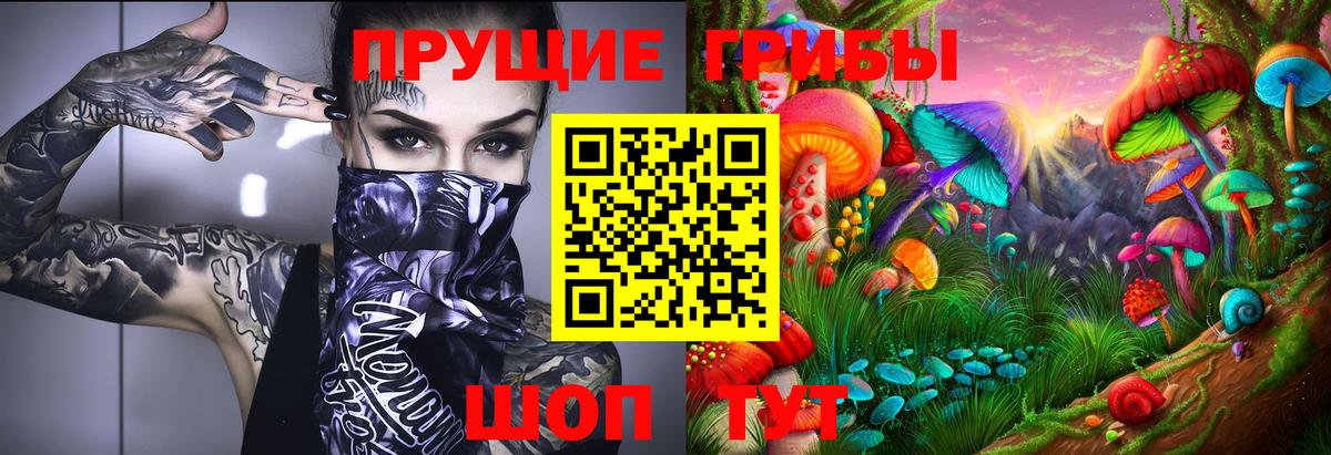 где найти   Вход с VPN  Губкинский  Псилоцибиновые грибы GOLDEN TEACHER  Галлюциногенные грибы Psilocybine cubensis 